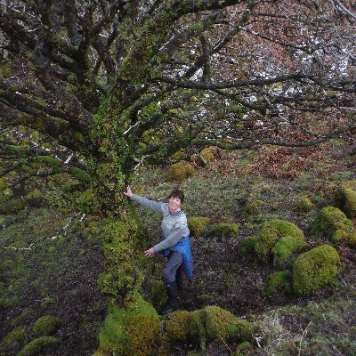 Hillwalking, kayaking, wildcamping and generally being outdoors in nature, Saving Scotland's Rainforest Project Manager. Personal tweets