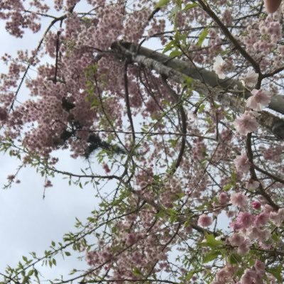 エロ中心に呟いてます。