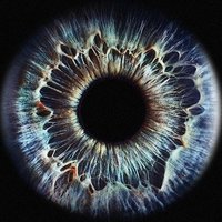 Fable Démocratique (@g_369vortexmath) 's Twitter Profile