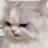 urihaengbokhaja's profile image