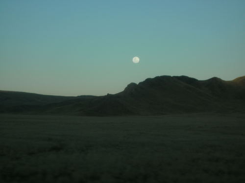 elligod's profile picture. Suffolk, via Birmingham and back again. all views my own