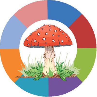 Discover the Magical World of #Fungi , #Mushrooms and #Mycology