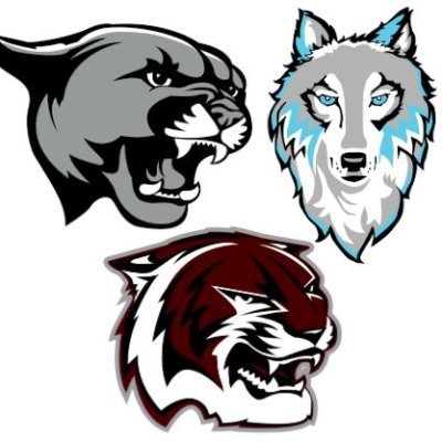 CsisdSchool's profile picture. CSISD Summer School Twitter