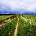 Katrina Styles - @katrinajstyles - Twitter