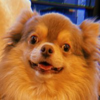 こっさん cossan (@cossan13) 's Twitter Profile Photo こっさん cossan (@cossan13) 's Twitter Profile Photo
