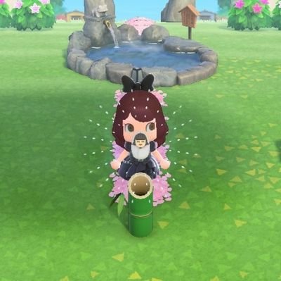 Wife~Mom~Pokemon Hunter~Go1255 8363 0808~Switch Friend SW-5006-3560-4825~DS Friend # 5301-2210-9378~ACNL Dream Address 4D00-000F-9C0F~W101