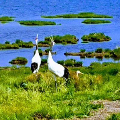 FPcb3c0tgJecTO4's profile picture. あつ森はまり中