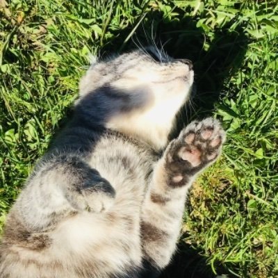 ColinLogue's profile picture. Just another dude with ADHD, and a huge fan of musics. I literally post whatever comes to mind (my fav food is 🍕 and🥤)