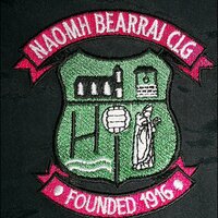 St. Barrys CLG (@st_barrys_gaa) 's Twitter Profile