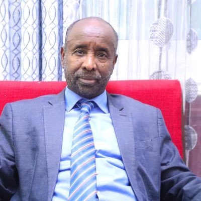 Consultant. Fmr Chief of Staff, Office of the President, Somalia. Ph.D & MSc Mechanical Eng, University of Missouri, Columbia, USA. Fmr Lecturer, UAE University