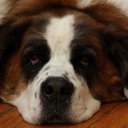 Ben Ewing - @ben_ewing - Twitter