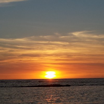 bluedolphin531's profile picture. Fascist conservatisim vs. authoritarian liberalism: our next civil war, as the USA drifts toward the extremes. Independent thought will be the first casualty.