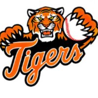 Hackettstown High School Baseball (@hhsbaseball01) 's Twitter Profile