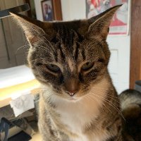 Tim Wicinski (@billjelavich) 's Twitter Profile Photo