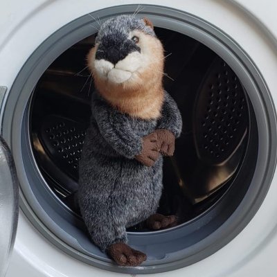 Mi nombre es Guichi y soy la nutria más dulce de Argentina🇦🇷🐟.
Acá el diario de mis aventuras❣.