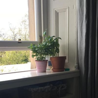 jojo639mon's profile picture. 出口