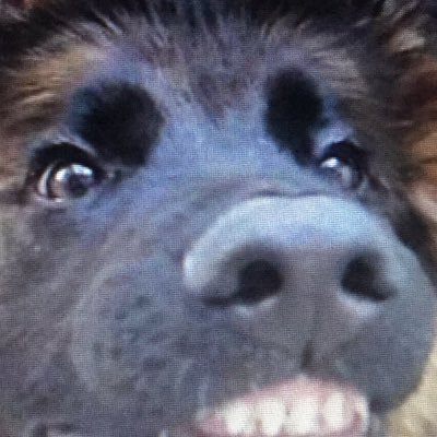 mrbootylicker__'s profile picture. 