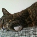 Chris Macmurdo - @cmaclsu - Twitter