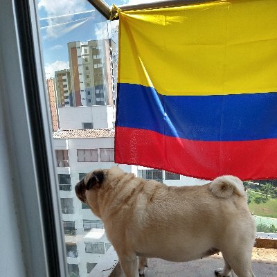 MaraSernaG1's profile picture. Servir, amar y vivir cada día como si fuera el último 💗 practicando la integridad