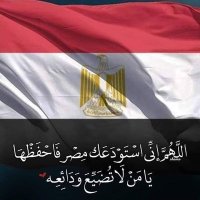 Mohannad Elghandour (@mohannad_gh) 's Twitter Profile