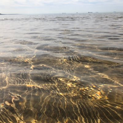 Canazra7's profile picture. 