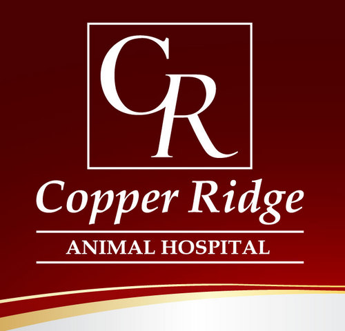 CRAH is a full service veterinary practice and boarding facility located in Mt. Crawford, VA. Call us at (540)828-2724 today!