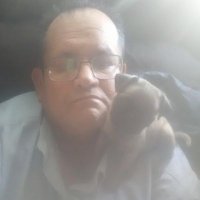 rodolfo (@trotskirhr) 's Twitter Profile