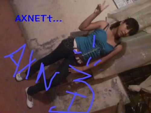 axnetpdl's profile picture. ....