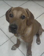 paudbc's profile picture. 