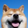 28am_07's profile picture. 7Jl