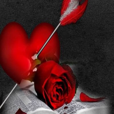 MOHAMMAD_HTH's profile picture. A qualified Engineer. Fighting for Equality and Constitution. RT do not mean Endorsement. My Views My Option
