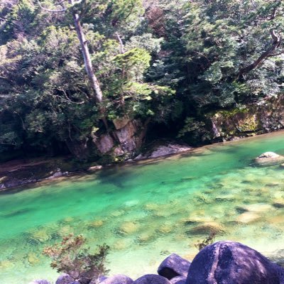まめさんのプロフィール画像