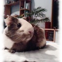 beatrix_91 - @beatrix_nagy_91 - Twitter