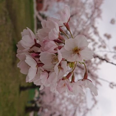 美味しい肴と美味しいお酒
野良猫ウォッチングをこよなく愛する(笑)