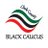 CCBC-Black Caucus