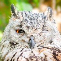Juan Zapata (@thejuan1112) 's Twitter Profile