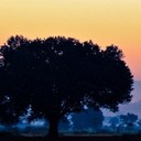 Michelle Buckmaster - @michellelbuck - Twitter