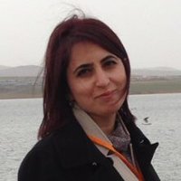 Ayla Turmaz Pektaş (@aylapektas) Twitter profile photo