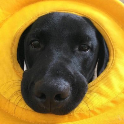 mjmjmj76's profile picture. 