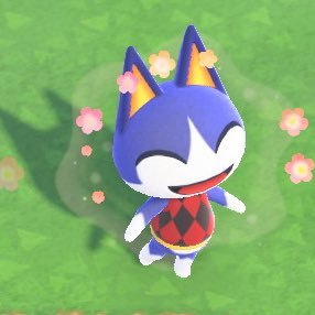 アリス あつ森垢 على تويتر リッキーにプレゼントつきの お手紙を書いたよ ソファーをあげたんだけど 飾ってくれるかなぁ ゞ どうぶつの森 Animalcrossing Acnl