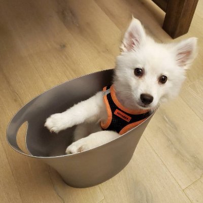 anonymous_12332's profile picture. 