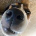 Sharon Skipworth (@sharonskipworth) Twitter profile photo Sharon Skipworth (@sharonskipworth) Twitter profile photo