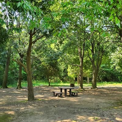 s_y__S_R_'s profile picture. TUT MS20　MKM研　「過激派猫団子2019」　「義理チョコ」編入　eスポーツサークルA2Z