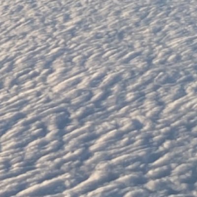 levibenton4l's profile picture. 