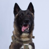 Bob Barker (@bob69barker420) 's Twitter Profile
