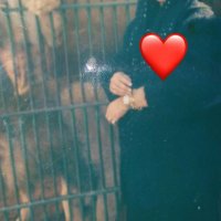 omar936gedoon (@omar936gedoon) 's Twitter Profile