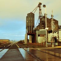 South Tacoma π§ (@southtacoma) 's Twitter Profile