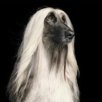 Eme Aquí (@jimenaemeuve) 's Twitter Profile