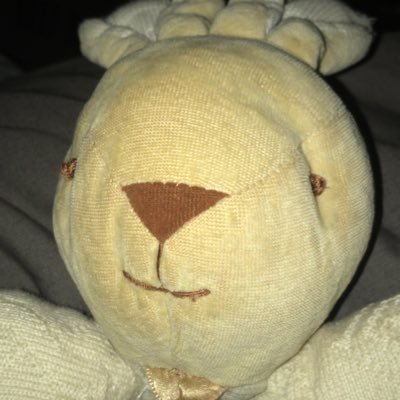 Jeune Lapine indépendante cherche son Lapinou beau et riche