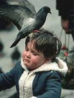 GospelAccrdg2BR's profile picture. A Family Man whose Twitter is a humorous place for his insights, logic behind his weird philosophy of life, & comedic twist on the news.